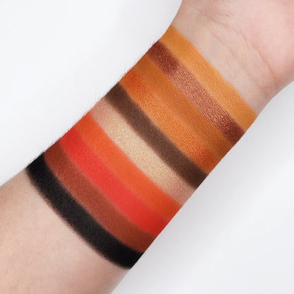 10 Color Temptation Eyeshadow Collection SN10 Crown Brush