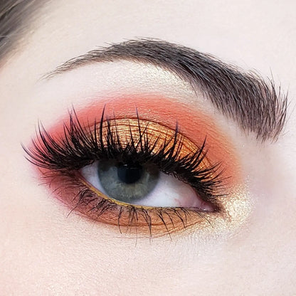 10 Color Temptation Eyeshadow Collection SN10 Crown Brush