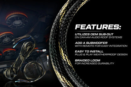 20' RCA Harness | UTVS-HRN-RCA-20 Dunes 2 Dezert SXS