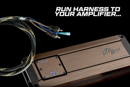 20' RCA Harness | UTVS-HRN-RCA-20 Dunes 2 Dezert SXS