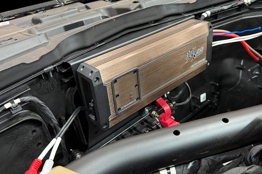 Polaris® RZR® Pro Series Pulse Bar Amplifier Mount | UTVS-PRO-AMPMT-PB Dunes 2 Dezert SXS