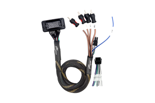 RZR® Pro Series Ride Command Front & Rear RCA Output + Speaker Wire & Remote | UTVS-PRO-RC-RCA-OUT Dunes 2 Dezert SXS
