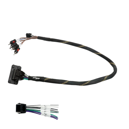 RZR® Pro Series Ride Command Front & Rear RCA Output + Speaker Wire & Remote | UTVS-PRO-RC-RCA-OUT Dunes 2 Dezert SXS