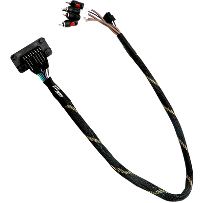 RZR® Pro Series Ride Command Front & Rear RCA Output + Speaker Wire & Remote | UTVS-PRO-RC-RCA-OUT Dunes 2 Dezert SXS