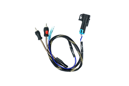 RZR® Pro Series Ride Command Subwoofer RCA Output Harness + Remote | UTVS-PRO-RC-SUB-OUT Dunes 2 Dezert SXS