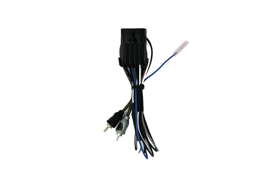RZR® Ride Command Amplifier Harness + Remote | UTVS-RZR-RC-RCA-REM Dunes 2 Dezert SXS
