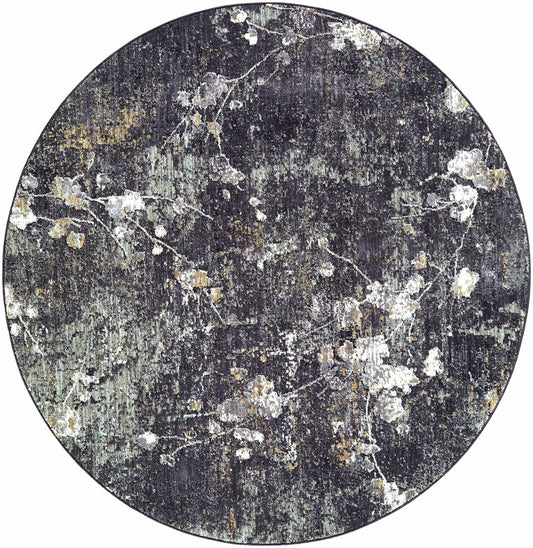 Aquila Black Area Rug