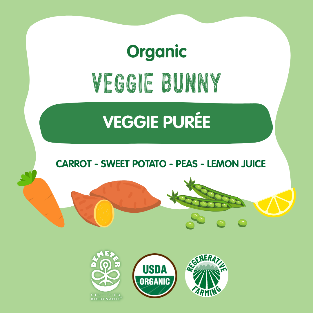 Holle Baby Food Pouches - Organic Veggie Puree - Veggie Bunny Holle USA
