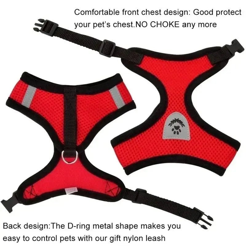 Adjustable Mesh Pet Harness with Leash, Polyester Vest Type Walking Strap for Small Medium Cats Dogs - Get it from Bo