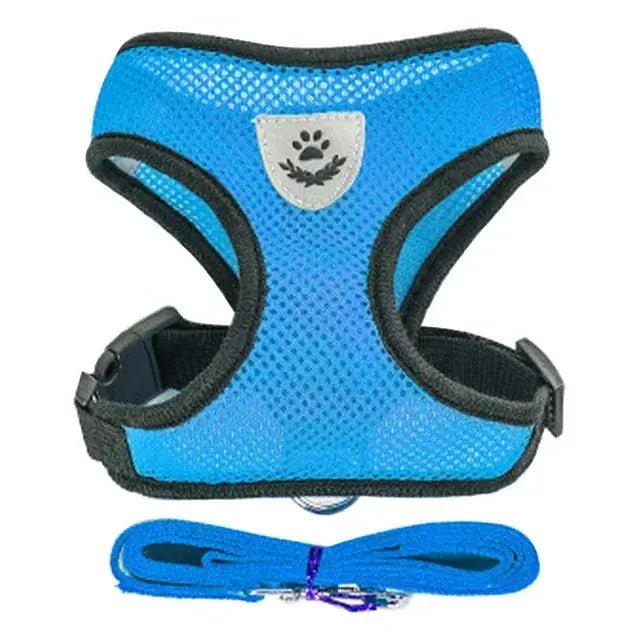 Adjustable Mesh Pet Harness with Leash, Polyester Vest Type Walking Strap for Small Medium Cats Dogs - Get it from Bo