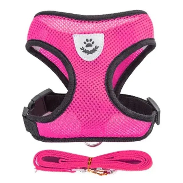 Adjustable Mesh Pet Harness with Leash, Polyester Vest Type Walking Strap for Small Medium Cats Dogs - Get it from Bo