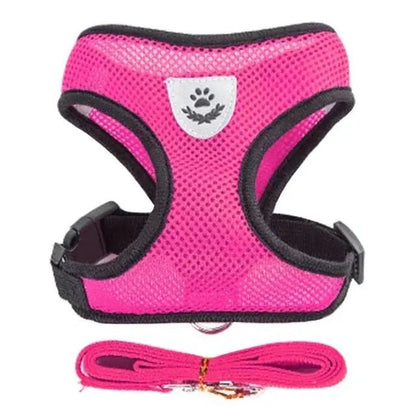Adjustable Mesh Pet Harness with Leash, Polyester Vest Type Walking Strap for Small Medium Cats Dogs - Get it from Bo