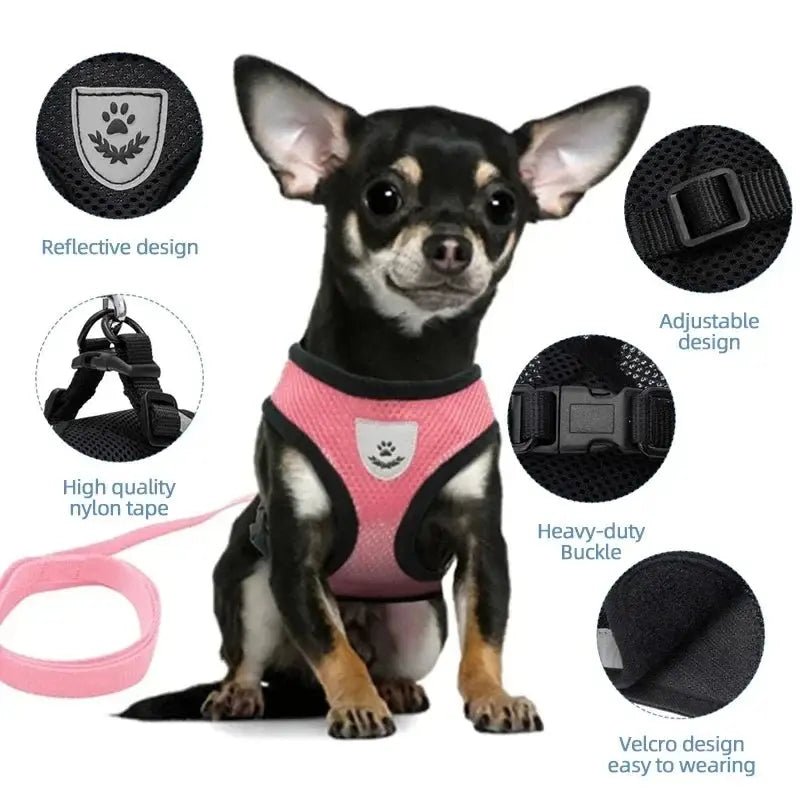 Adjustable Mesh Pet Harness with Leash, Polyester Vest Type Walking Strap for Small Medium Cats Dogs - Get it from Bo
