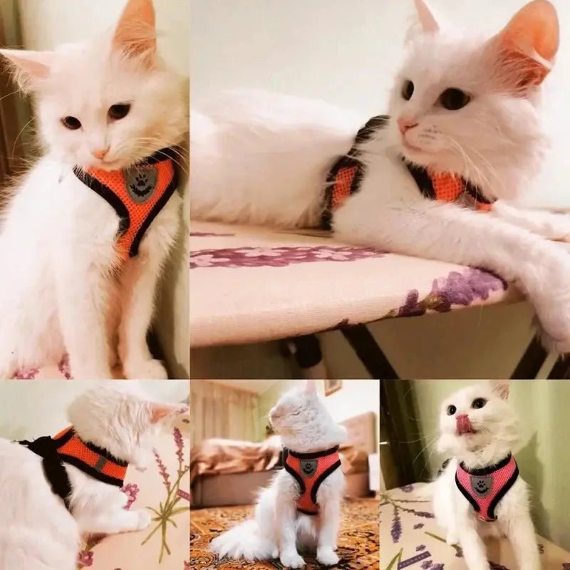 Adjustable Mesh Pet Harness with Leash, Polyester Vest Type Walking Strap for Small Medium Cats Dogs - Get it from Bo