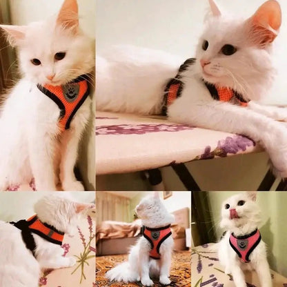 Adjustable Mesh Pet Harness with Leash, Polyester Vest Type Walking Strap for Small Medium Cats Dogs - Get it from Bo