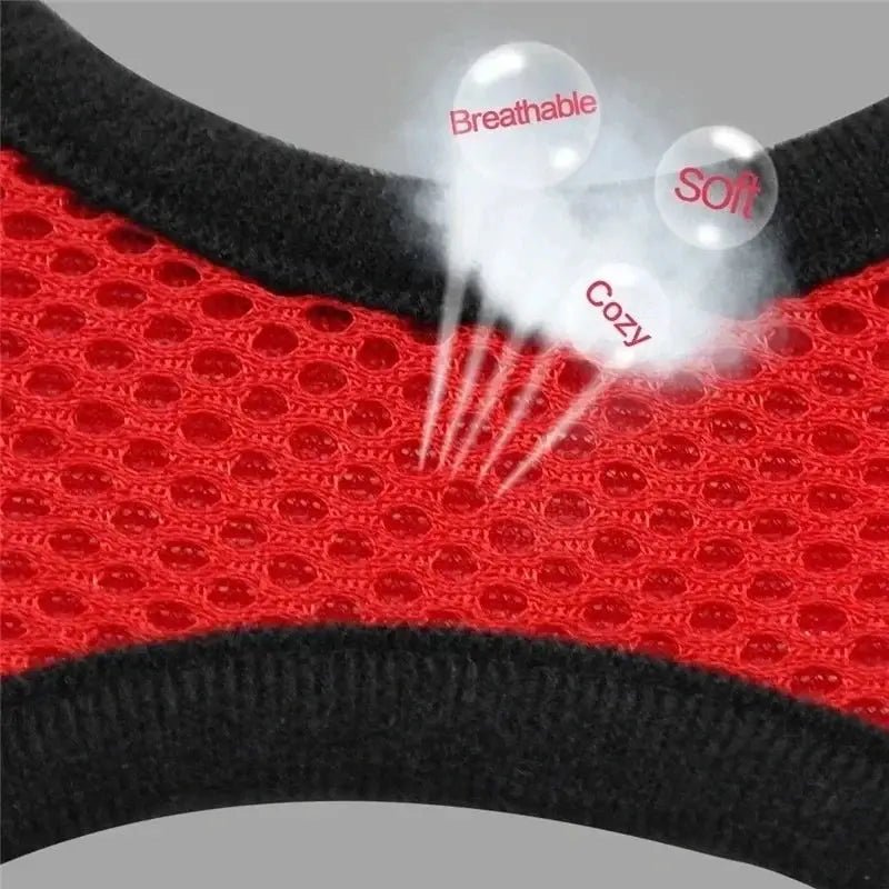 Adjustable Mesh Pet Harness with Leash, Polyester Vest Type Walking Strap for Small Medium Cats Dogs - Get it from Bo