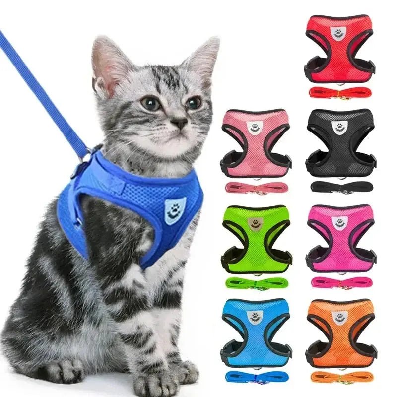 Adjustable Mesh Pet Harness with Leash, Polyester Vest Type Walking Strap for Small Medium Cats Dogs - Get it from Bo