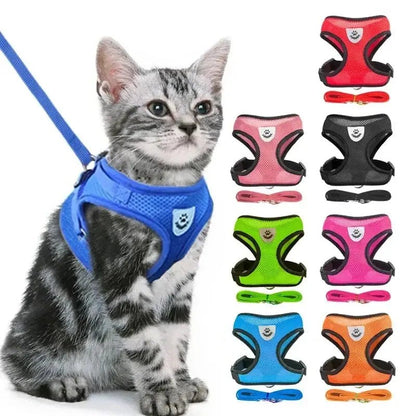 Adjustable Mesh Pet Harness with Leash, Polyester Vest Type Walking Strap for Small Medium Cats Dogs - Get it from Bo