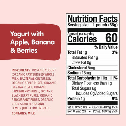 Holle Organic Yogurt Pouches - Apple, Banana & Berries Holle USA
