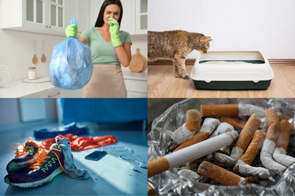 Socar Odor Neutralizer with Bio-Safe Technology Socar Chemical