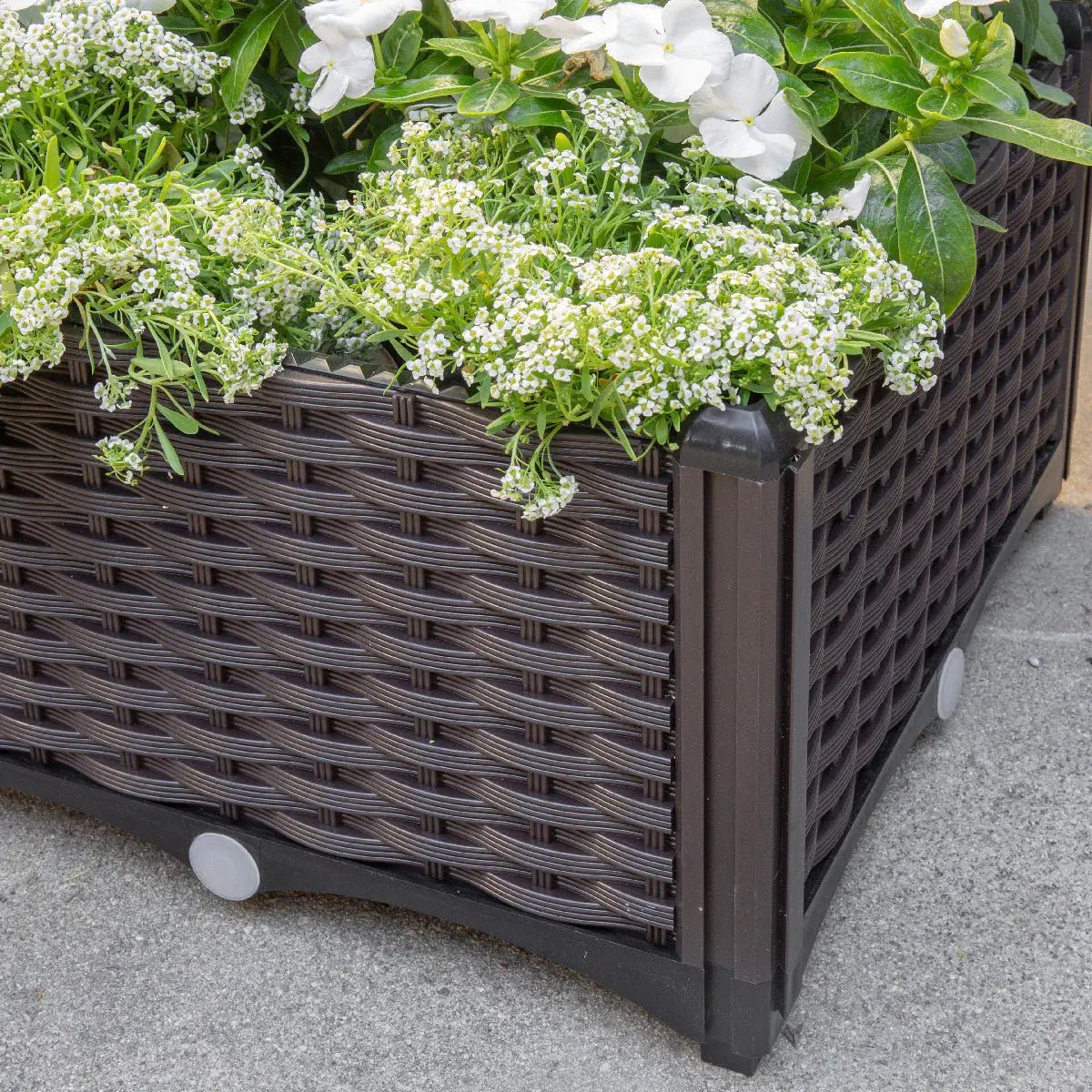 Barton 2 Pieces Raised Garden Bed Brown Plastic w/Self-Watering Design Outdoor - Get it from Bo