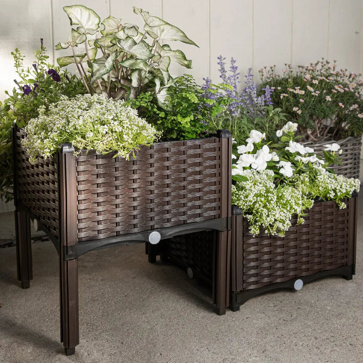 Barton 2 Pieces Raised Garden Bed Brown Plastic w/Self-Watering Design Outdoor - Get it from Bo
