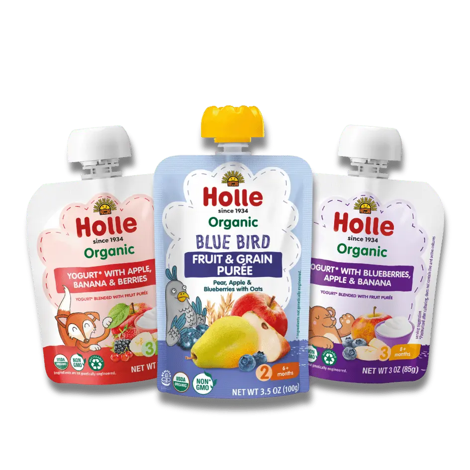 Berries Bundle: Apples, Banana & Berries Yogurt, Blueberries, Apple, Banana Yogurt, and Blue Bird Holle USA