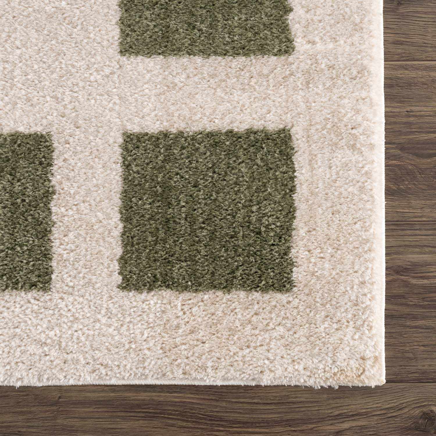 Beynon Green Washable Area Rug - Get it from Bo