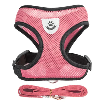 Small Dog Pet Chest and Back Breathable Dog Leash Collar Get it from Bo