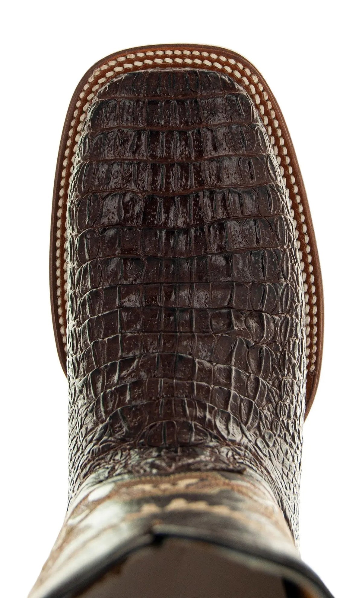 Brown Caiman Belly Print Men's Cowboy Boots H4001 - Get it from Bo