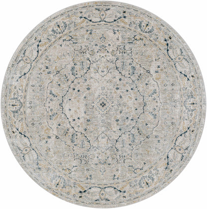 Bushnell Boutique Rug Boutique Rugs