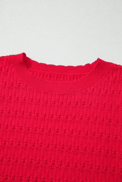 Kay Knit Ribbed Cuffs Crew Neck Sweater
