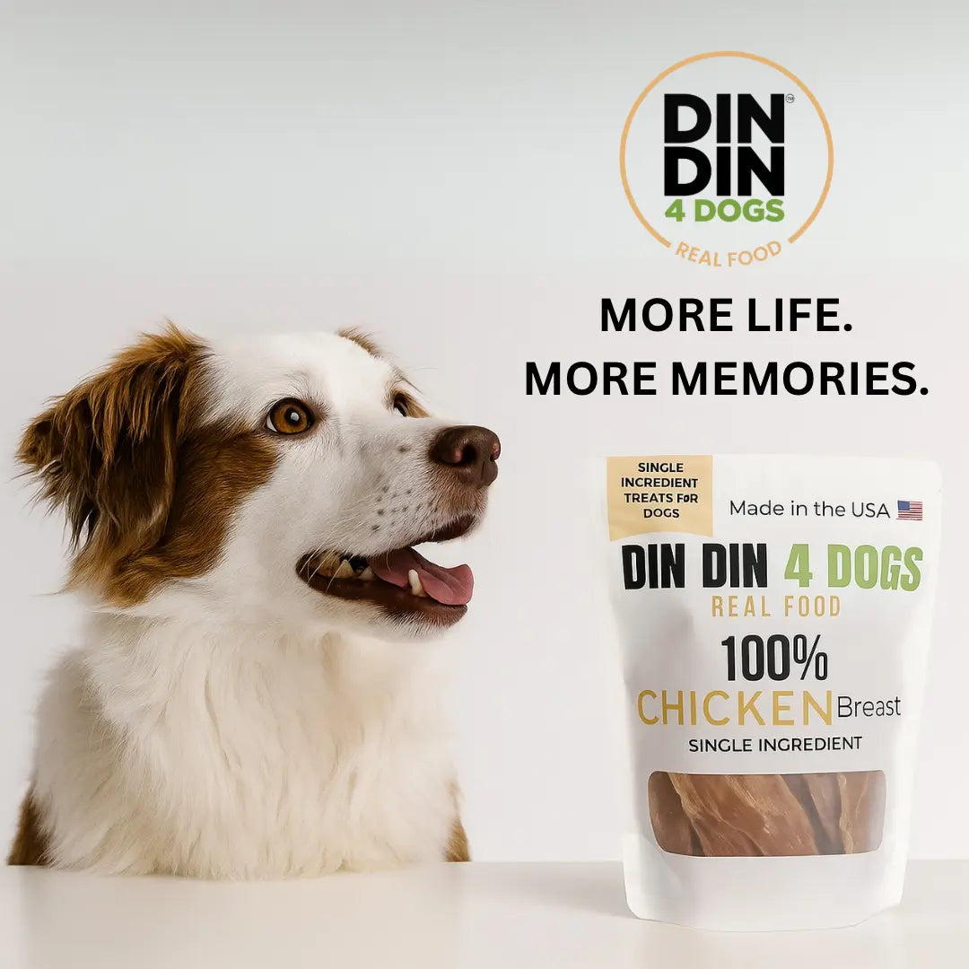 Chicken Treats Dog Treats, 5 Ounce Bag, Single Ingredient, High Protein - Get it from Bo