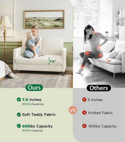 Comfy Teddy Loveseat Sofa Perfect For Small Spaces ShipItFurniture