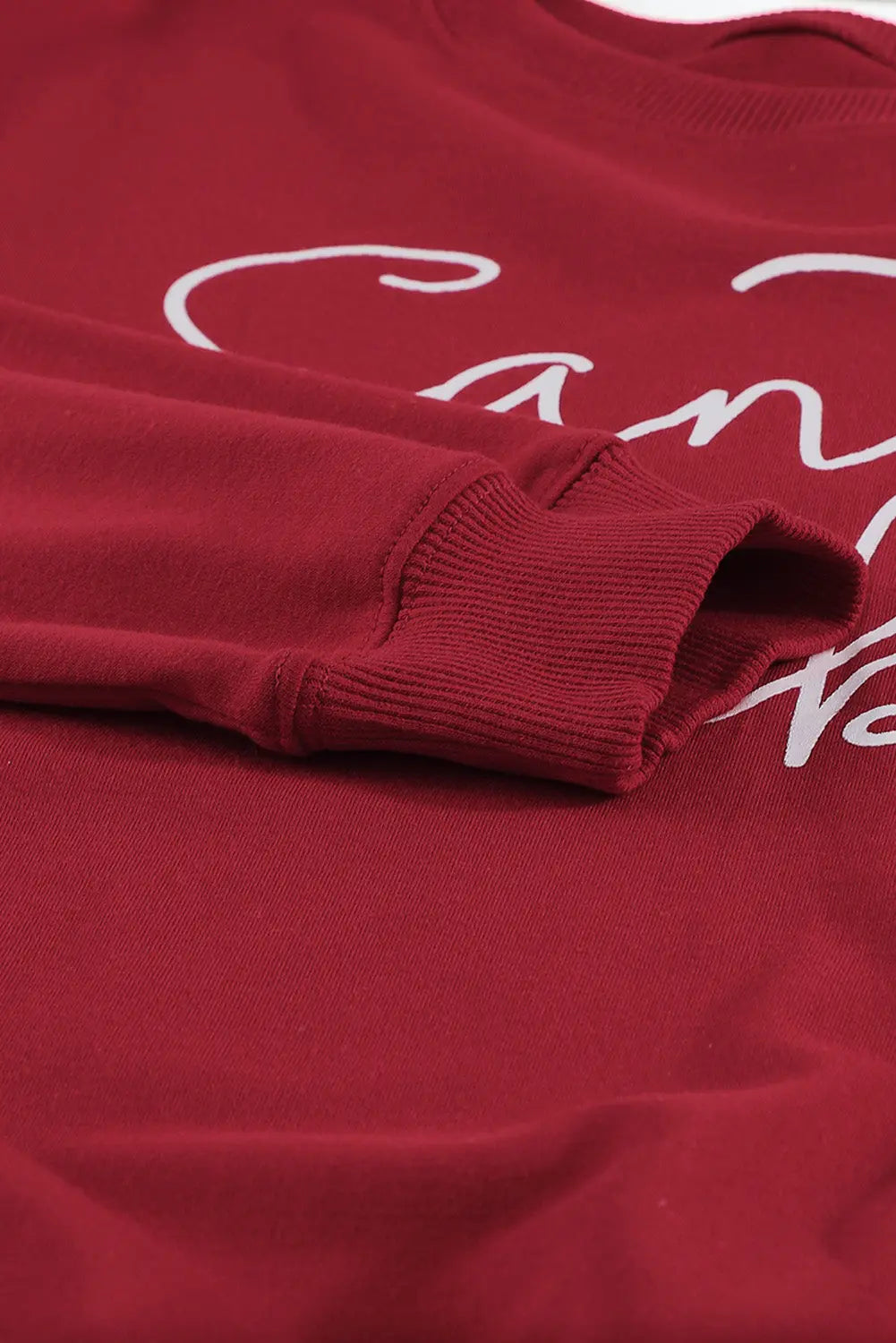 Isabella Santa Baby Print Pullover