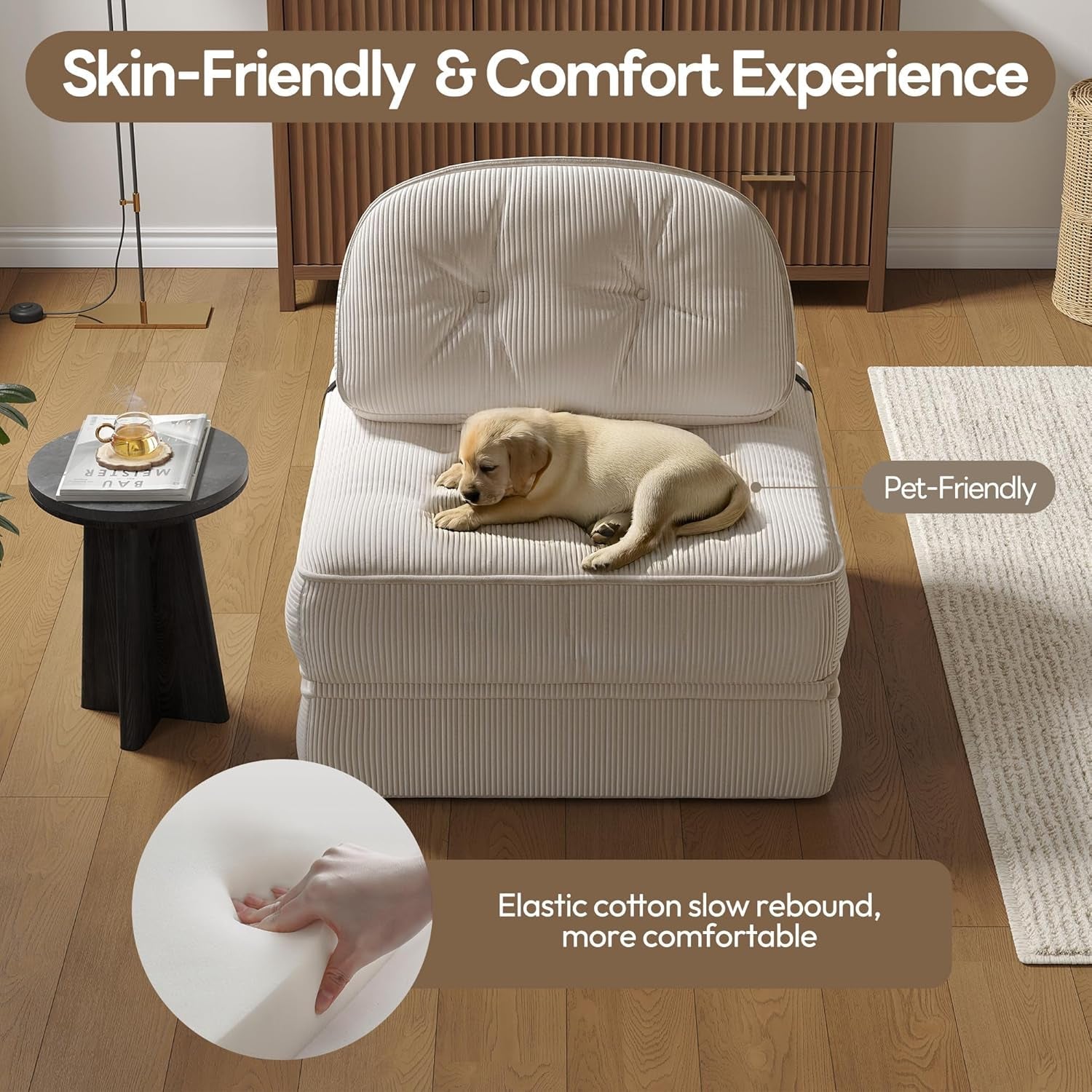 Folding Sofa Bed with Pillow for Comfy Lounge ShipItFurniture