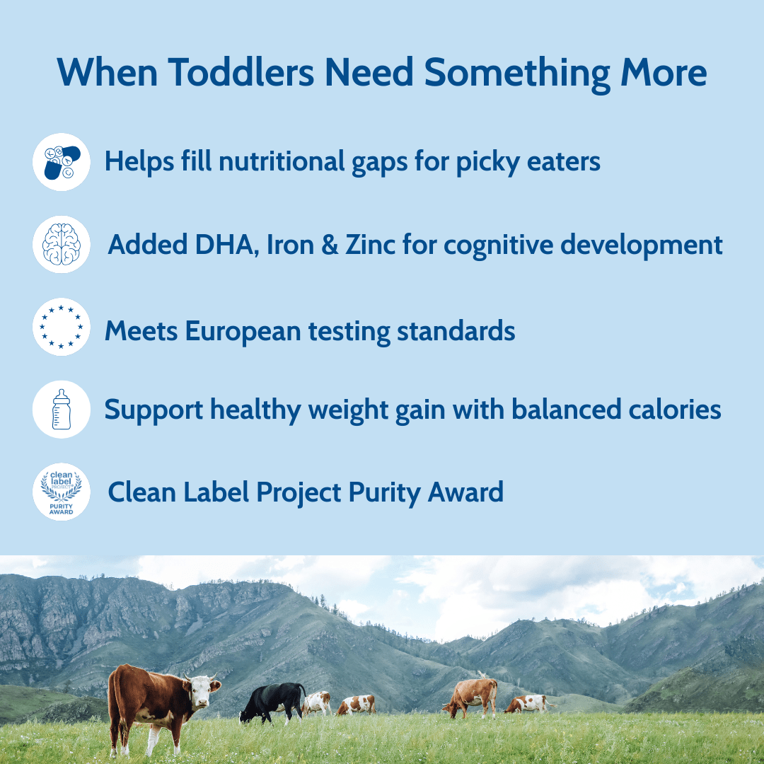 Holle Cow Milk Toddler Drink 6-Tin Bundle - Get it from Bo