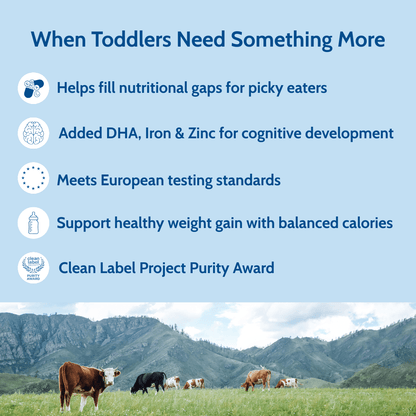 Holle Cow Milk Toddler Drink 6-Tin Bundle - Get it from Bo