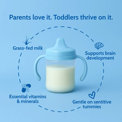 Holle Cow Milk Toddler Drink - Stage 3 | Non GMO (14 oz) - Get it from Bo