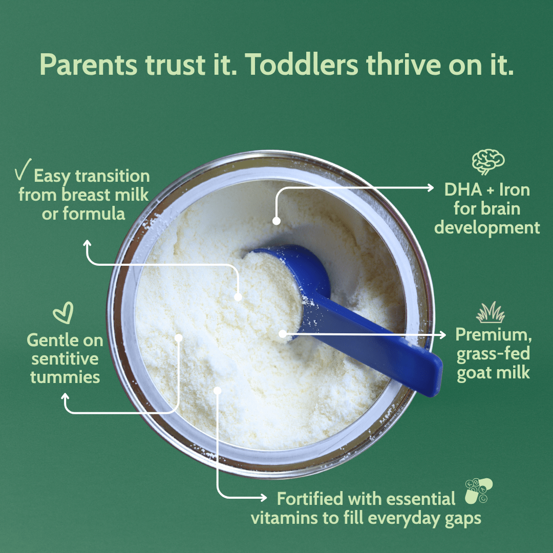 Holle Goat Milk Toddler Drink 6-Tin Bundle - Get it from Bo