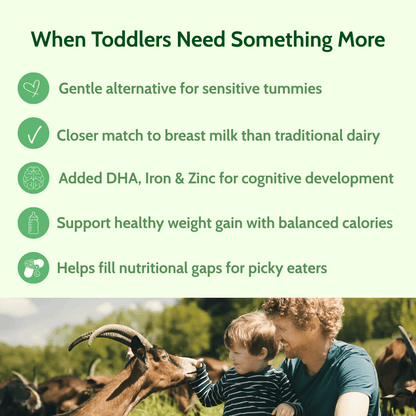Holle Goat Milk Toddler Drink 6-Tin Bundle - Get it from Bo