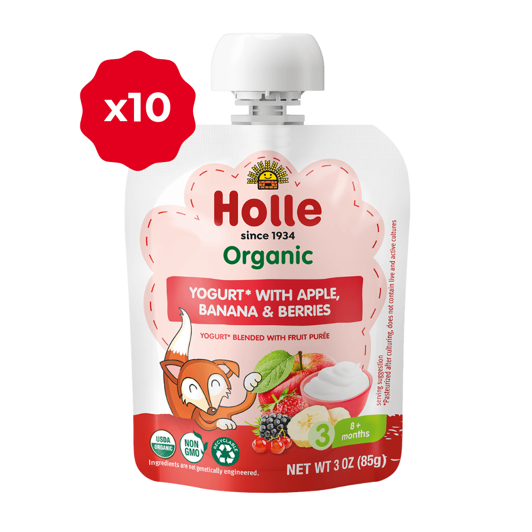 Holle Organic Apple, Banana & Berries Yogurt Pouches - Get it from Bo