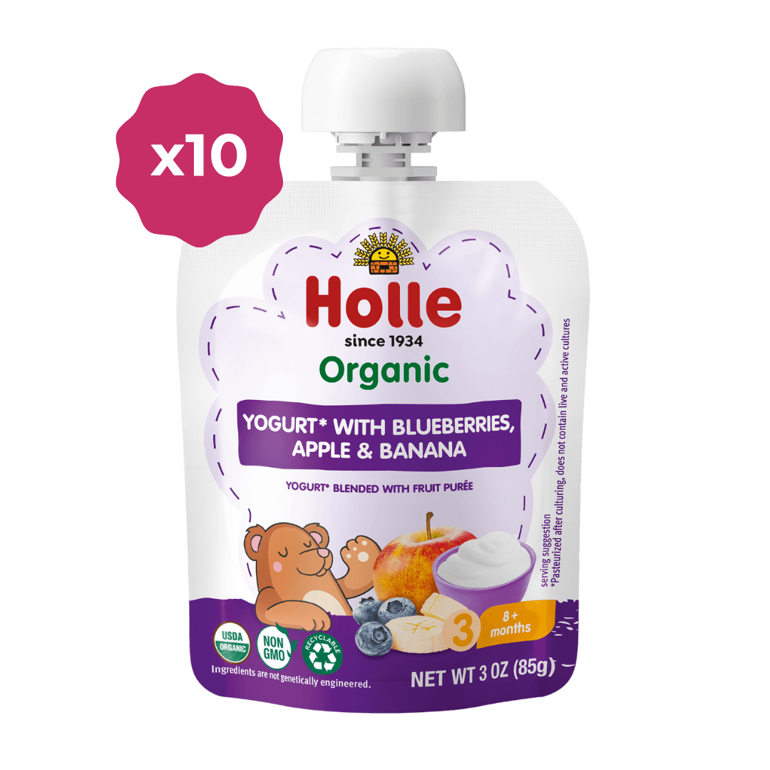 Holle Organic Blueberries, Apple & Banana Yogurt Pouches - Get it from Bo