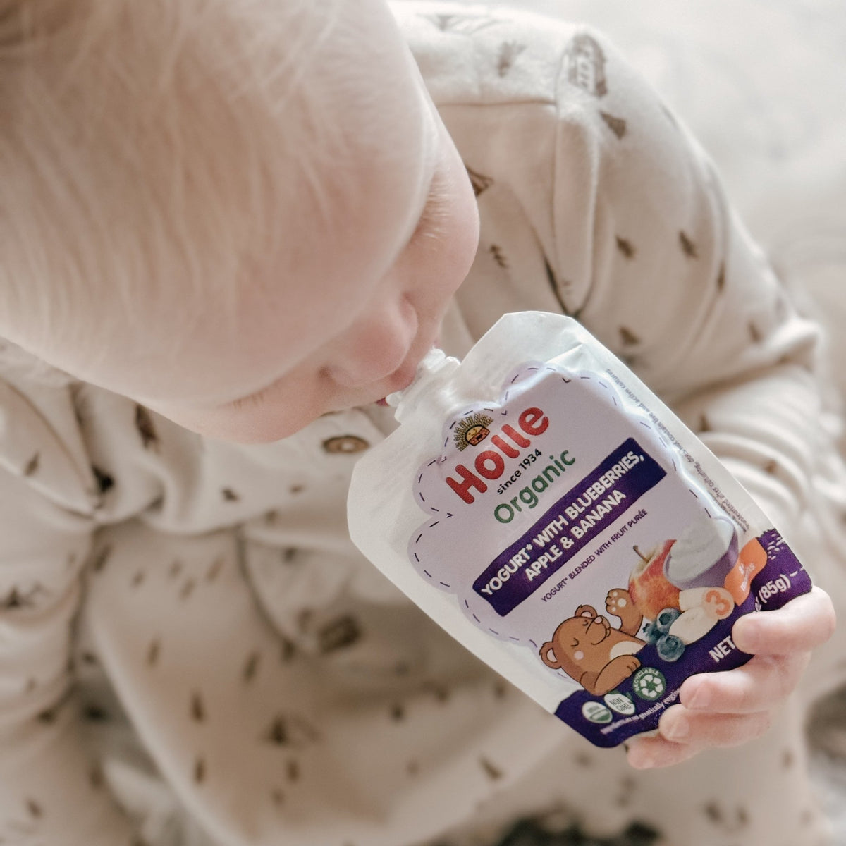 Holle Organic Blueberries, Apple & Banana Yogurt Pouches - Get it from Bo