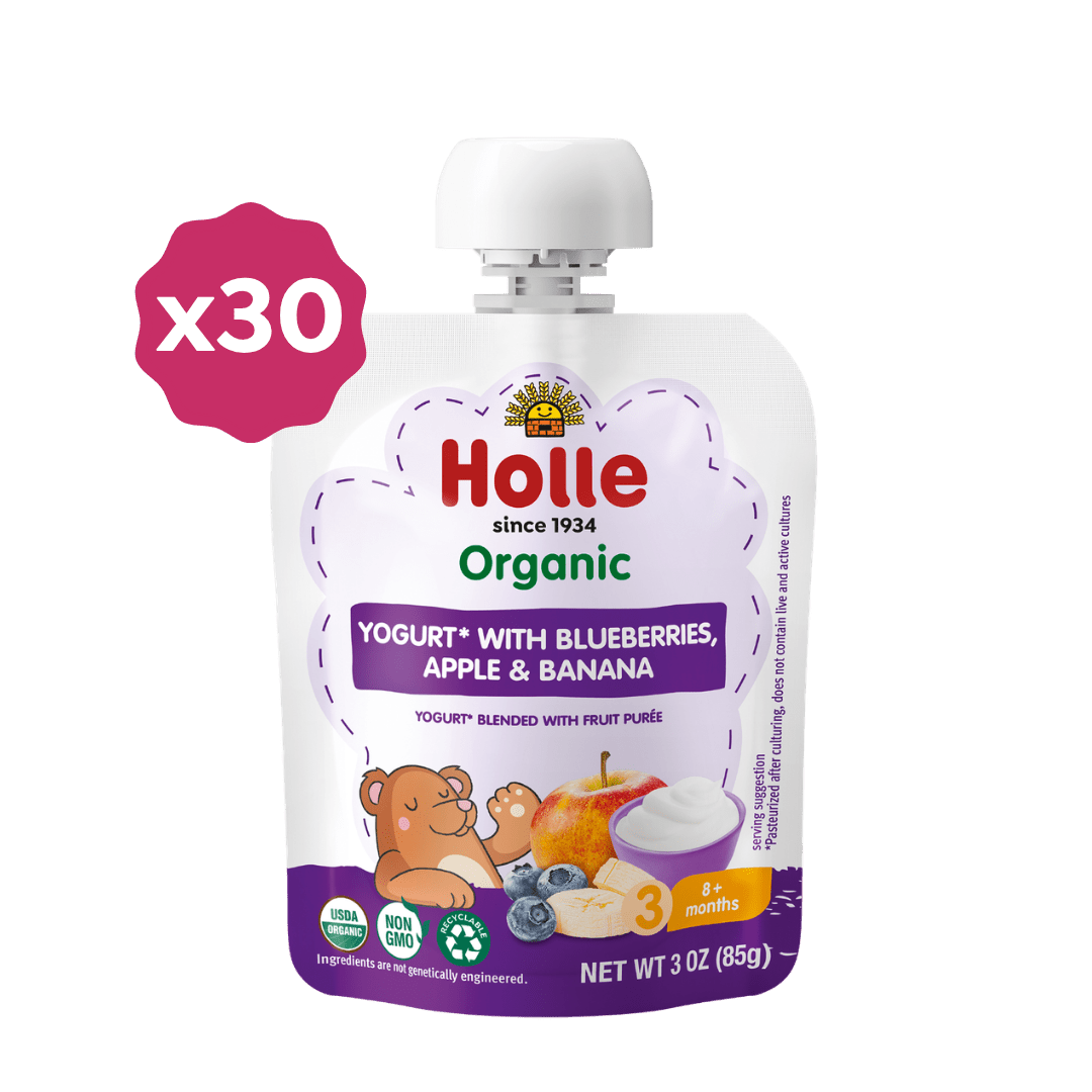 Holle Organic Blueberries, Apple & Banana Yogurt Pouches - Get it from Bo