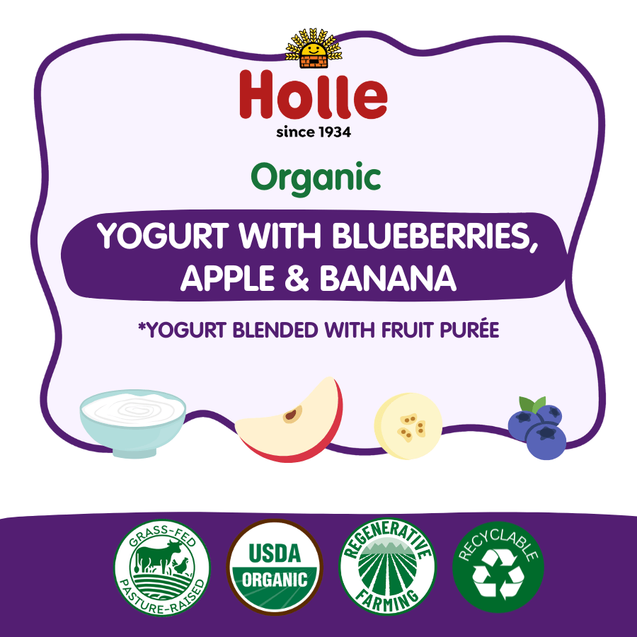 Holle Organic Blueberries, Apple & Banana Yogurt Pouches - Get it from Bo