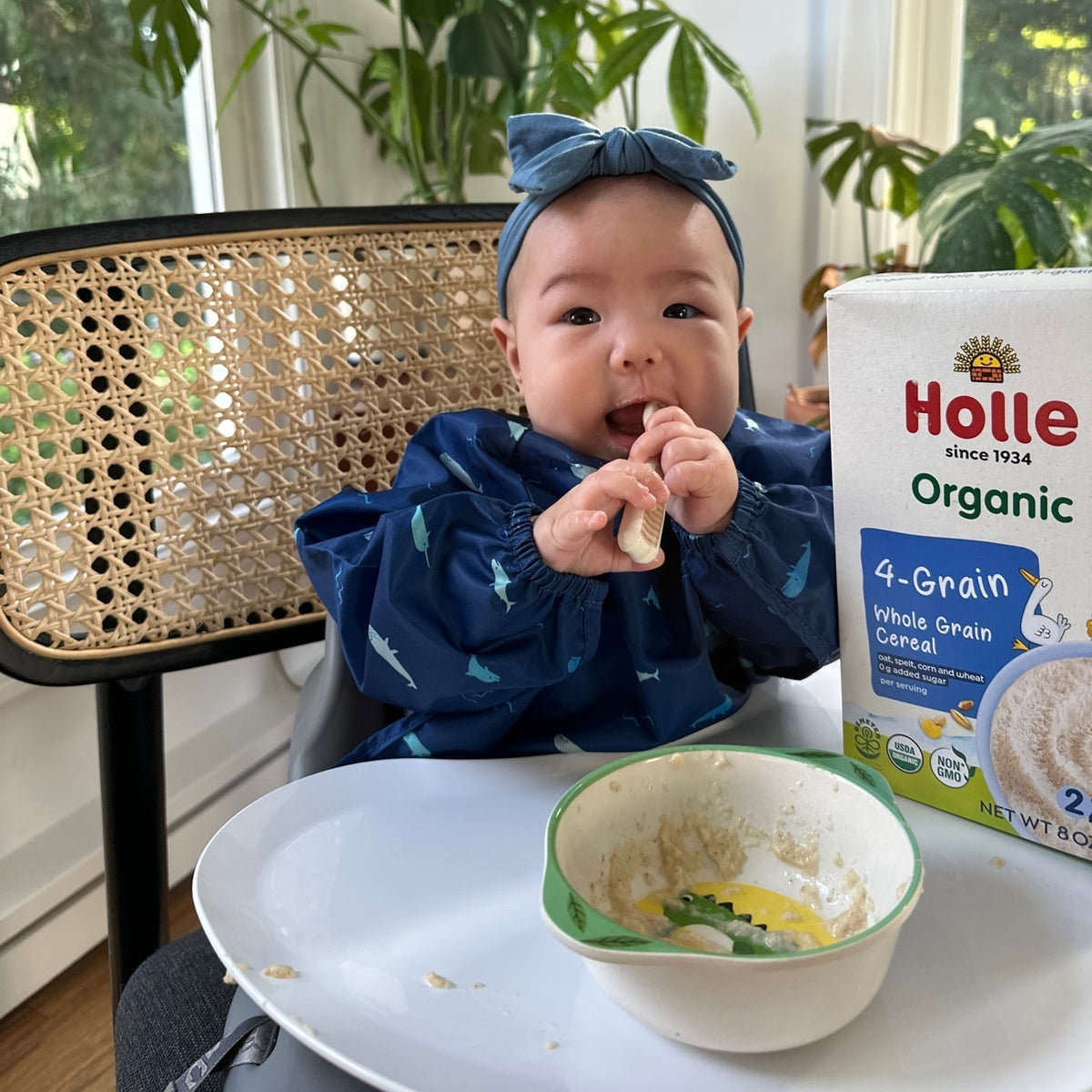 Holle Organic Whole Grain 4-Grain Cereal - 6 Pack - Get it from Bo