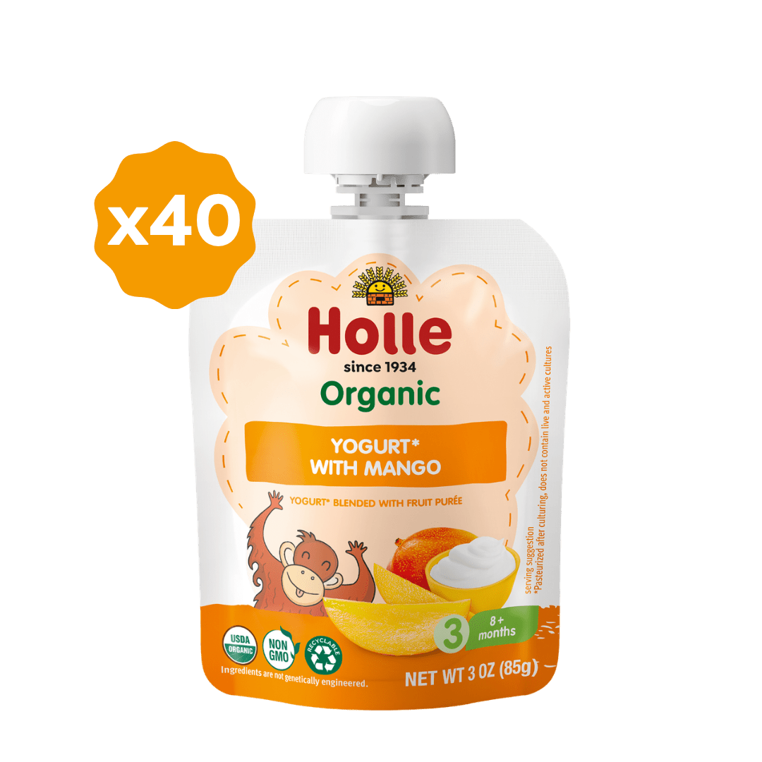 Holle Organic Yogurt Pouches - Mango - Get it from Bo