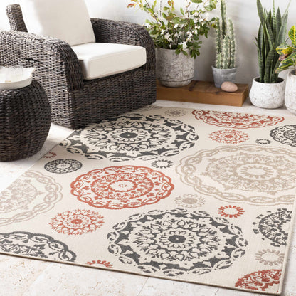 Juniata Area Rug - Clearance Boutique Rugs