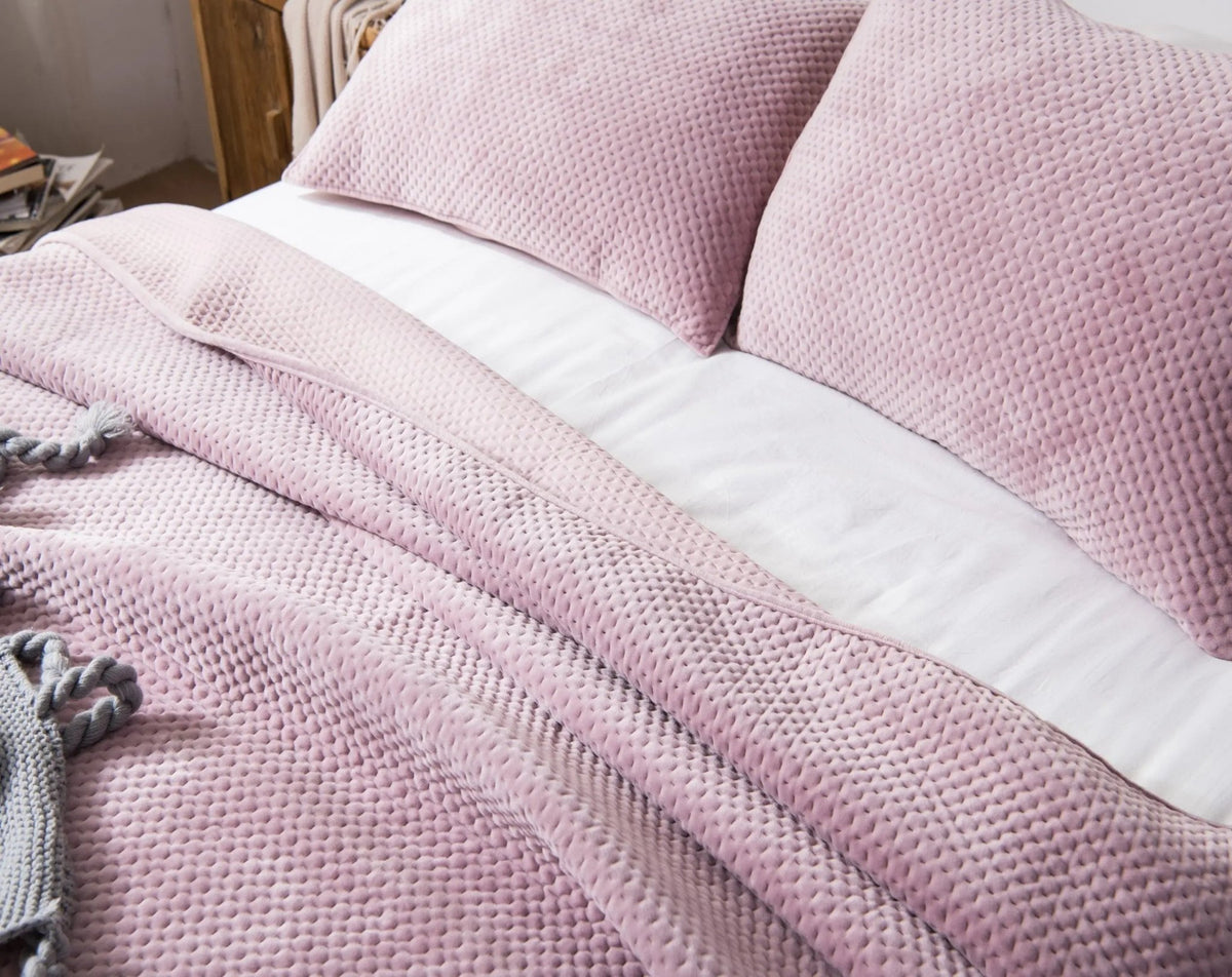 Kasentex All Season Cozy Velvet Quilt Set with Shams, Queen, King, Room Decor, Graduation Gifts - Get it from Bo